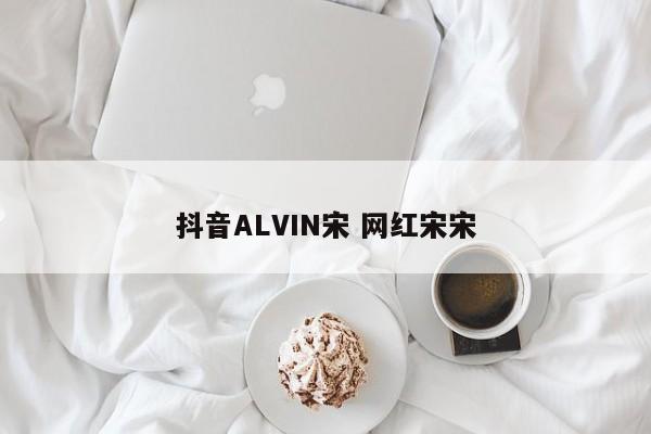 抖音ALVIN宋 网红宋宋