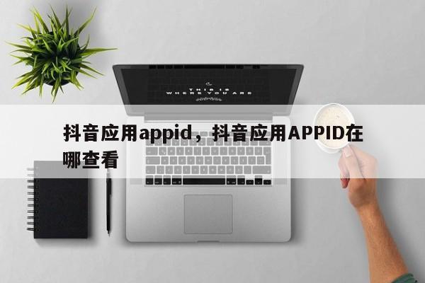 抖音应用appid，抖音应用APPID在哪查看