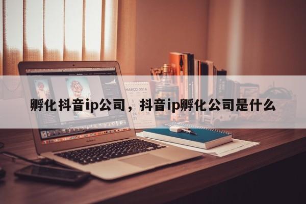 孵化抖音ip公司，抖音ip孵化公司是什么