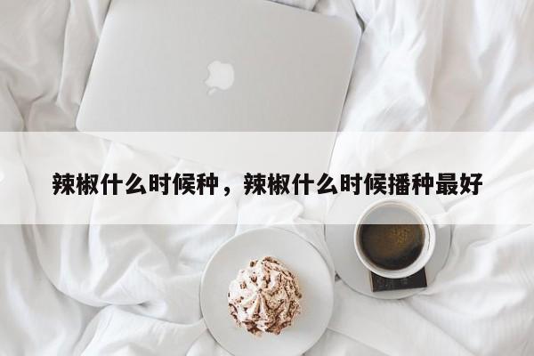 辣椒什么时候种，辣椒什么时候播种最好