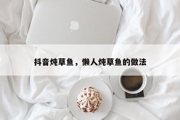 抖音炖草鱼，懒人炖草鱼的做法