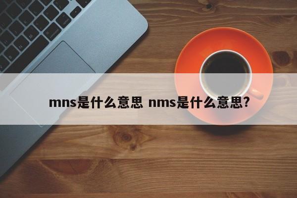 mns是什么意思 nms是什么意思?