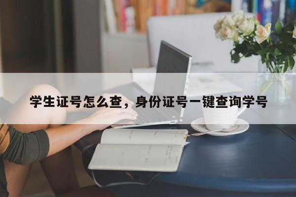 学生证号怎么查，身份证号一键查询学号