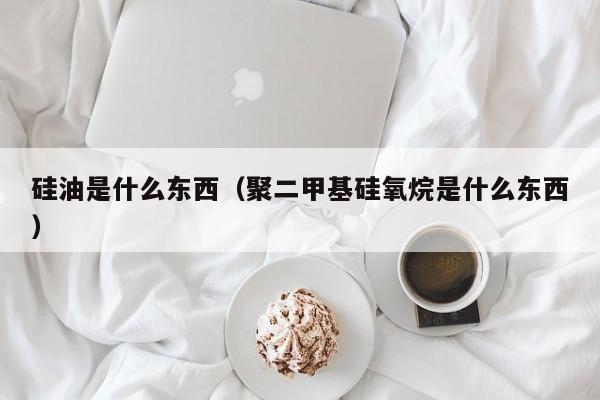 硅油是什么东西（聚二甲基硅氧烷是什么东西）