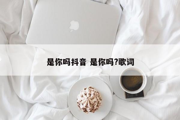 是你吗抖音 是你吗?歌词