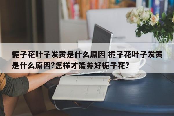 栀子花叶子发黄是什么原因 栀子花叶子发黄是什么原因?怎样才能养好栀子花?