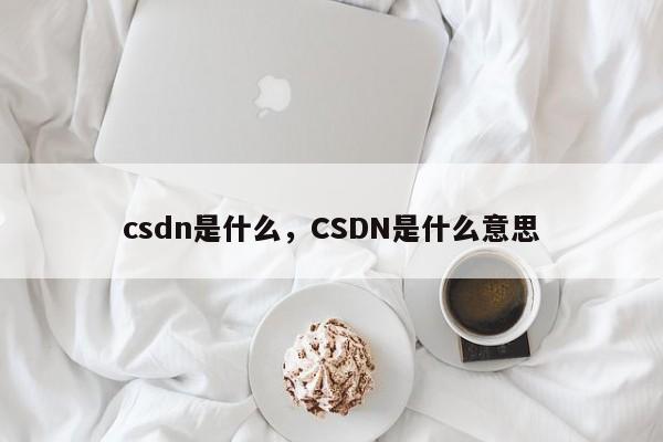 csdn是什么，CSDN是什么意思