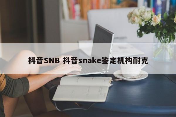 抖音SNB 抖音snake鉴定机构耐克