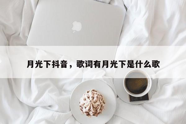 月光下抖音，歌词有月光下是什么歌