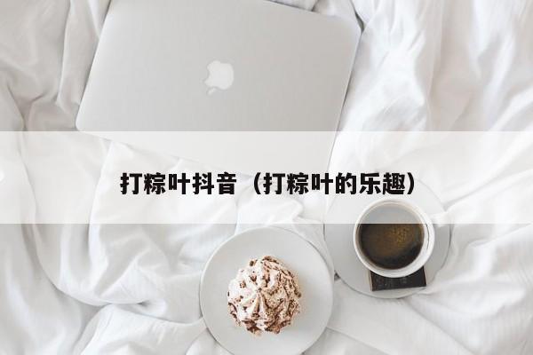 打粽叶抖音（打粽叶的乐趣）