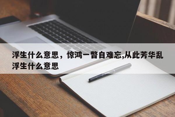 浮生什么意思，惊鸿一瞥自难忘,从此芳华乱浮生什么意思