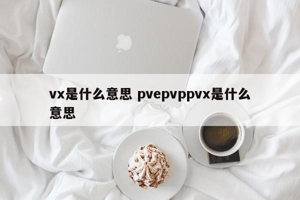 vx是什么意思 pvepvppvx是什么意思