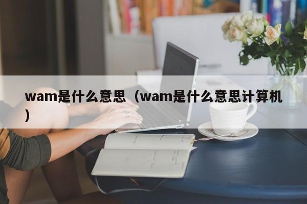 wam是什么意思（wam是什么意思计算机）