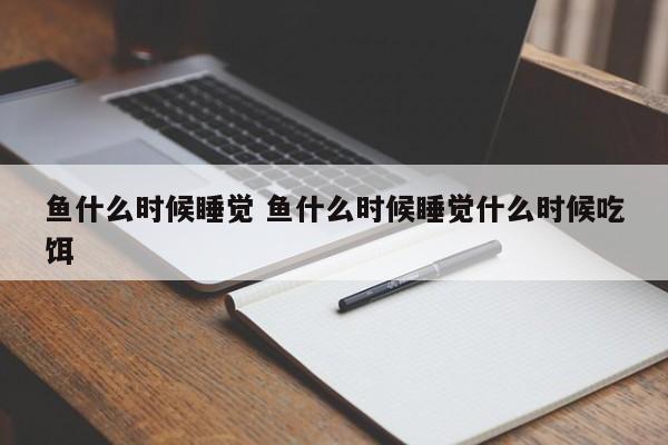 鱼什么时候睡觉 鱼什么时候睡觉什么时候吃饵