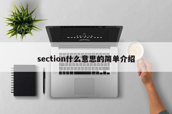 section什么意思的简单介绍