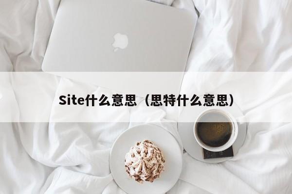 Site什么意思（思特什么意思）