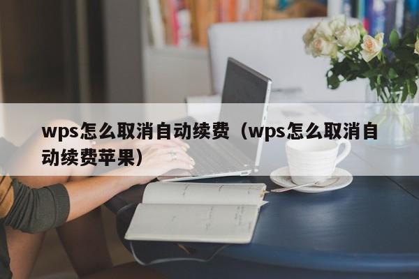 wps怎么取消自动续费（wps怎么取消自动续费苹果）