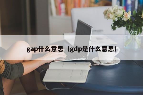 gap什么意思（gdp是什么意思）