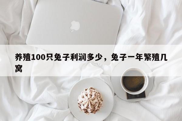 养殖100只兔子利润多少，兔子一年繁殖几窝