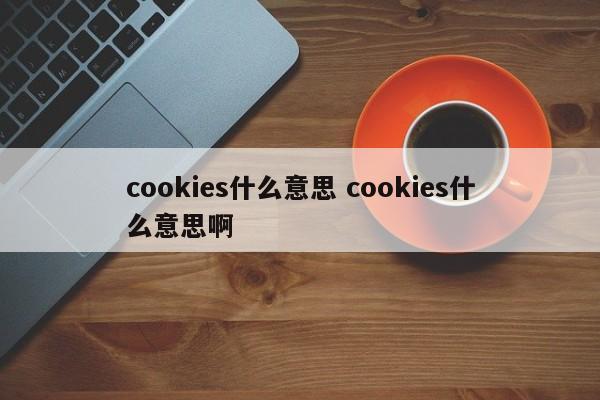 cookies什么意思 cookies什么意思啊