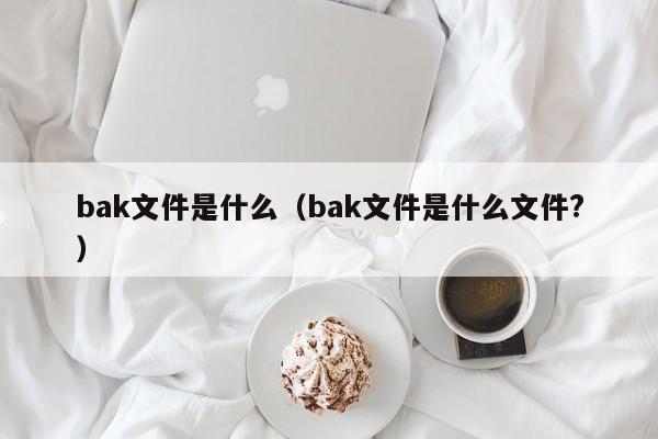 bak文件是什么（bak文件是什么文件?）