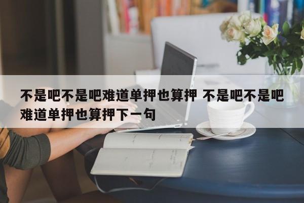 不是吧不是吧难道单押也算押 不是吧不是吧难道单押也算押下一句