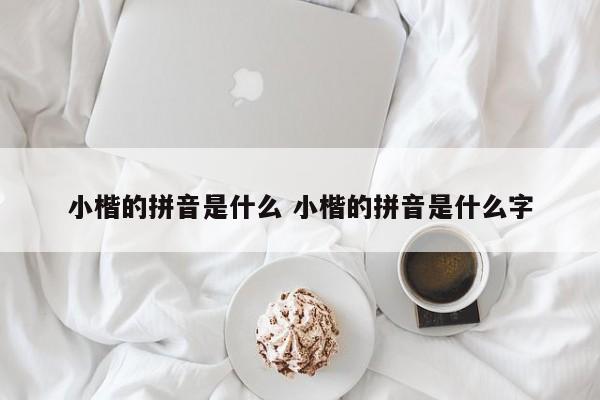 小楷的拼音是什么 小楷的拼音是什么字