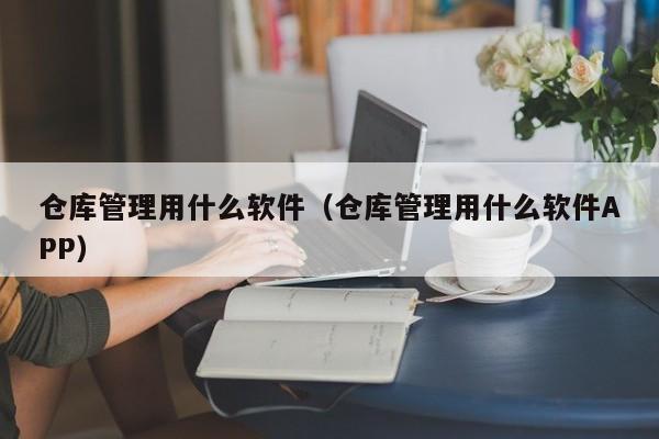 仓库管理用什么软件（仓库管理用什么软件APP）