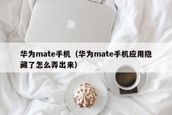 华为mate手机（华为mate手机应用隐藏了怎么弄出来）