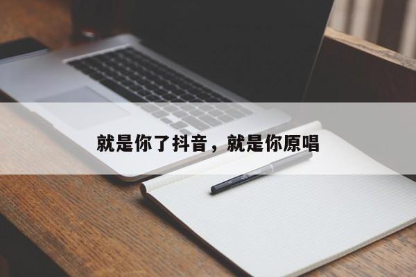 就是你了抖音，就是你原唱