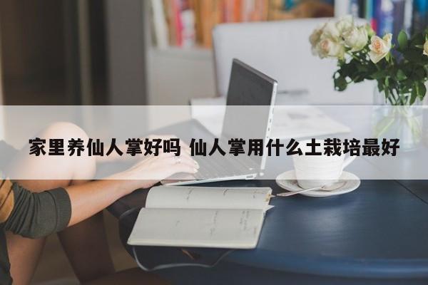 家里养仙人掌好吗 仙人掌用什么土栽培最好