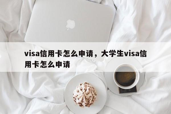 visa信用卡怎么申请，大学生visa信用卡怎么申请