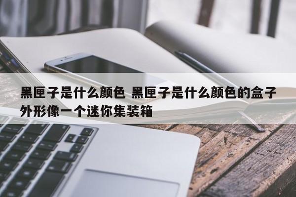 黑匣子是什么颜色 黑匣子是什么颜色的盒子外形像一个迷你集装箱