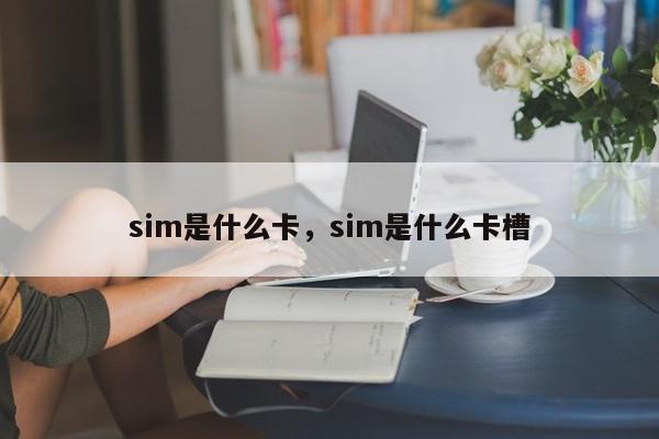 sim是什么卡，sim是什么卡槽