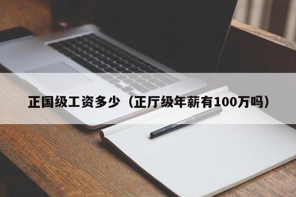 正国级工资多少（正厅级年薪有100万吗）