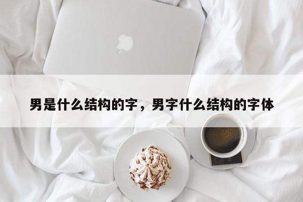 男是什么结构的字，男字什么结构的字体