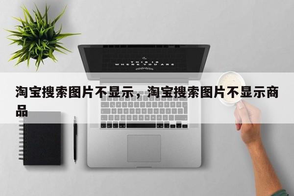 淘宝搜索图片不显示，淘宝搜索图片不显示商品