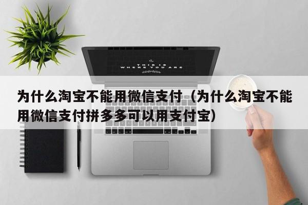 为什么淘宝不能用微信支付（为什么淘宝不能用微信支付拼多多可以用支付宝）