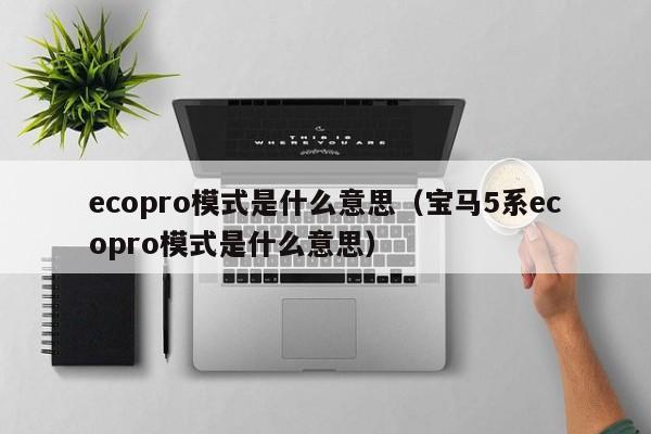 ecopro模式是什么意思（宝马5系ecopro模式是什么意思）