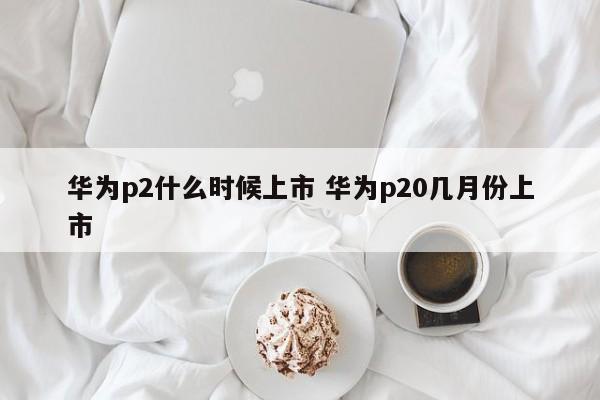 华为p2什么时候上市 华为p20几月份上市