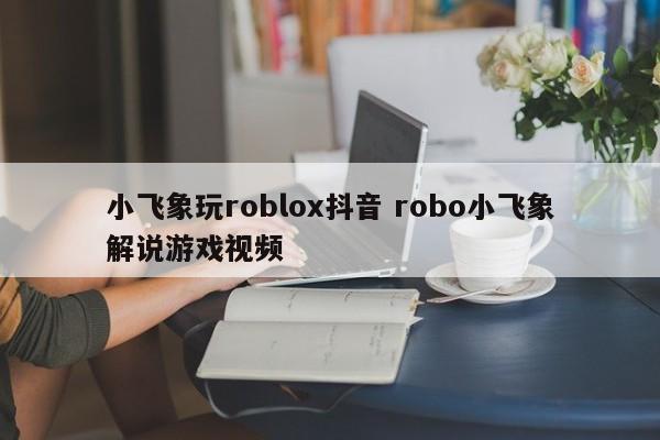 小飞象玩roblox抖音 robo小飞象解说游戏视频