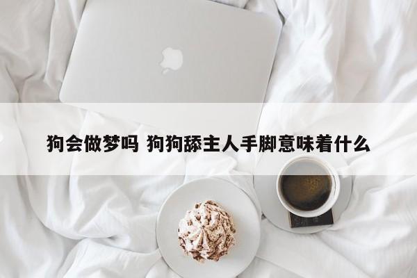 狗会做梦吗 狗狗舔主人手脚意味着什么