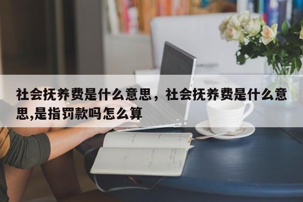 社会抚养费是什么意思，社会抚养费是什么意思,是指罚款吗怎么算