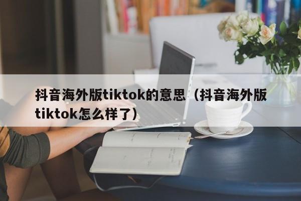 抖音海外版tiktok的意思（抖音海外版tiktok怎么样了）