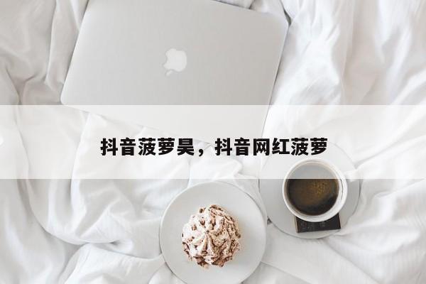 抖音菠萝昊，抖音网红菠萝