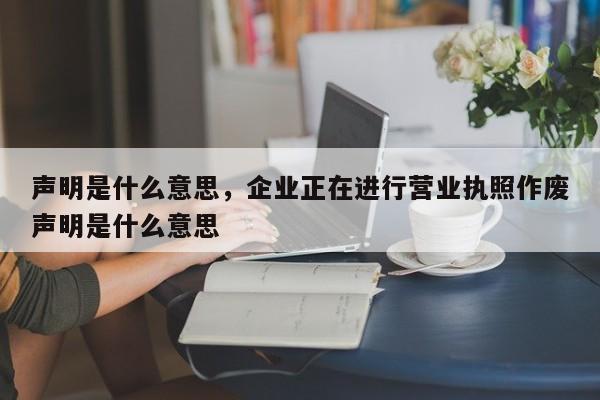 声明是什么意思，企业正在进行营业执照作废声明是什么意思