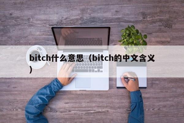 bitch什么意思（bitch的中文含义）