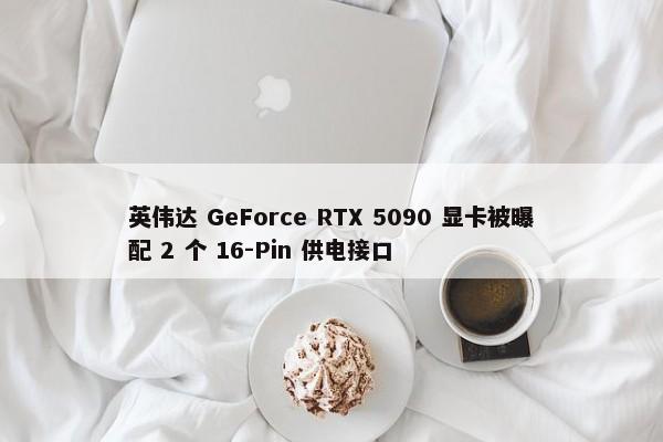 英伟达 GeForce RTX 5090 显卡被曝配 2 个 16-Pin 供电接口