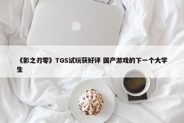 《影之刃零》TGS试玩获好评 国产游戏的下一个大学生