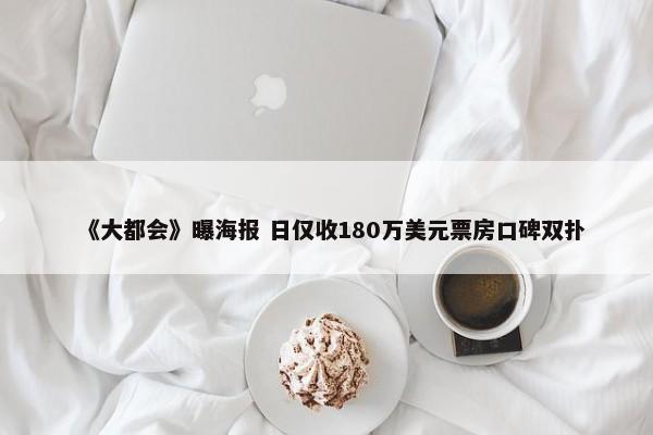 《大都会》曝海报 日仅收180万美元票房口碑双扑